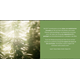 Product_The New High-End Fertilizer on the Market - OG Nutrition!, 4 image_Cannadusa_Marketplace_Buy