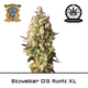 Produkt_Auto Skywalker OG Runtz XL – Sweet Seeds__Cannadusa_Marktplatz_Kaufen