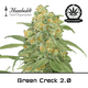 Produkt_Green Crack 2.0 - Humboldt Seeds__Cannadusa_Marktplatz_Kaufen