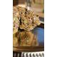 Product_Gushers Fast Flowering - Humboldt Seeds, 3 image_Cannadusa_Marketplace_Buy