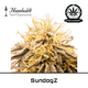 Produkt_SundogZ - Humboldt Seeds__Cannadusa_Marktplatz_Kaufen