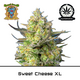 Produkt_Auto Sweet Cheese XL – Sweet Seeds__Cannadusa_Marktplatz_Kaufen